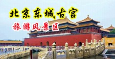 巨屌插入逼视频中国北京-东城古宫旅游风景区